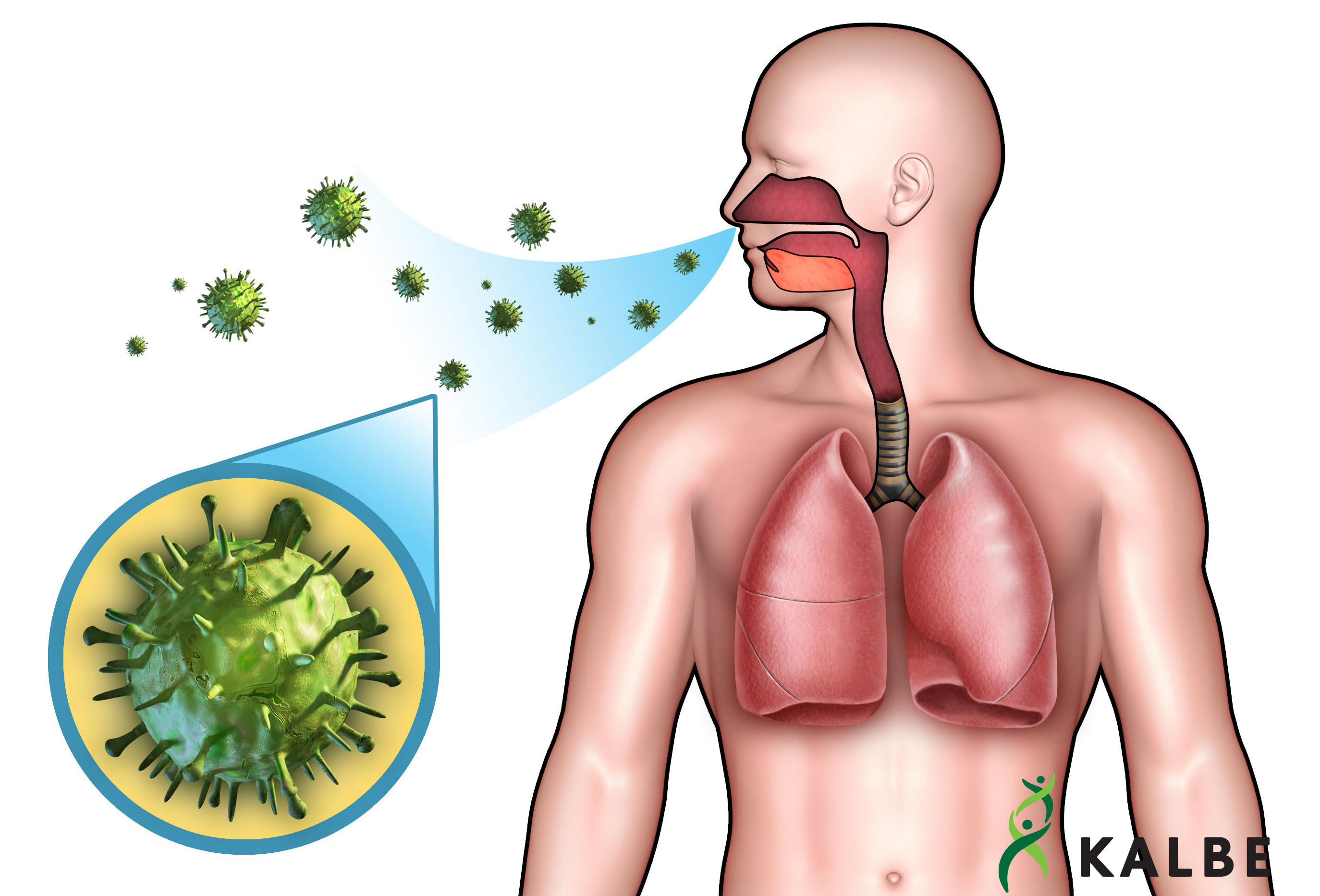 What is sore throat? And how does it work? Kalbe